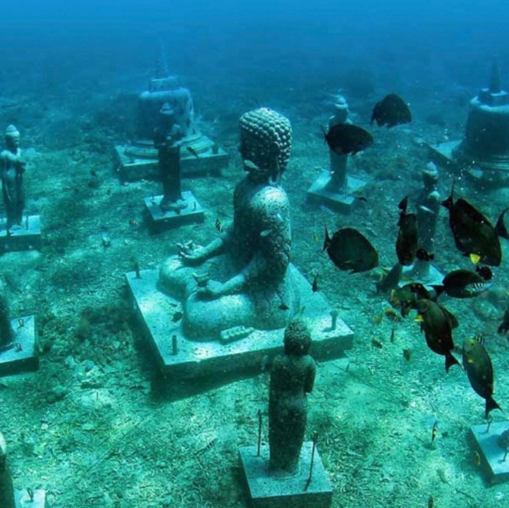 Best Dive Sites in Bali for Artificial Reefs