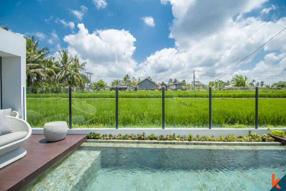 TWO BEDROOM ESTATE WITH BEAUTIFUL RICE PADDY VIEWS